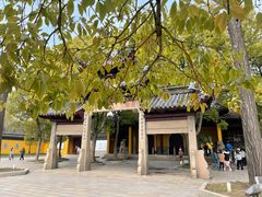 -西园戒幢律寺