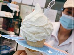 -野人先生现做冰淇淋(西安赛格店)