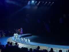 -珠海横琴长隆《卡卡虎奇遇记》