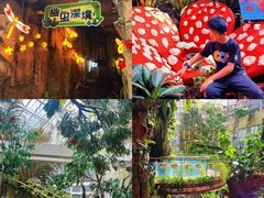 -正佳雨林生态植物园