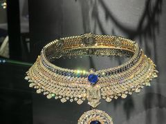 -美国自然历史博物馆