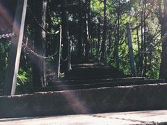 红河谷森林公园-陕西省红河谷森林公园