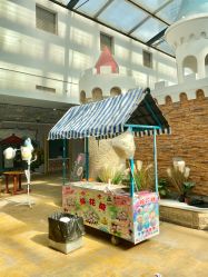 -点点梦想城(金水路店)