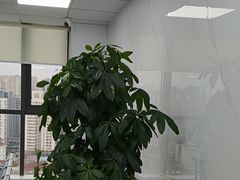 -戴尔笔记本电脑服务器售后维修中心(虹口足球场店)