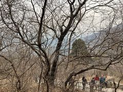 -香山公园