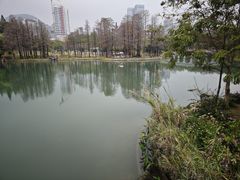 -四海公园(南山区)