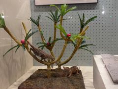 -辽宁古生物博物馆
