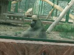 -新疆天山野生动物园