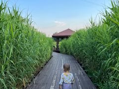 -永定河休闲森林公园