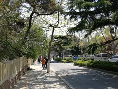 -八大关景区
