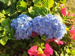 -荔湾湖公园