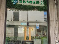 -雨林宠物医院·异宠专科(浦东分院)