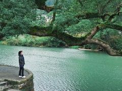 -上坦村