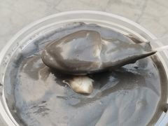 -钟姨糖水(惠城店)