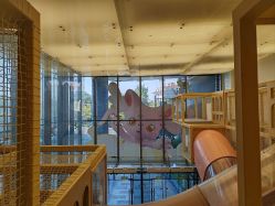 -超级奈尔宝SUPER NEOBIO(杭州星光店)