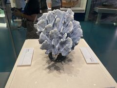 -上海中国航海博物馆