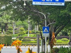 -厦门高崎国际机场-T3航站楼