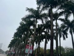 -顺峰山公园