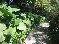 -佛山祈福仙湖酒店