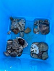 -MEMO Skin漫溯皮肤管理