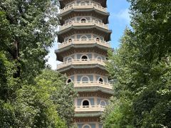 -灵谷景区