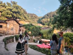 -杨家堂村
