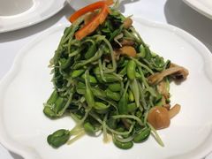 -张生记(丁香国际店)