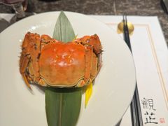 -觀芷隐轩