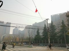 -西北大学(桃园校区)