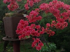 -万景茶庄·台州菜