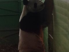 iphone_upload_pic-石家庄市动物园