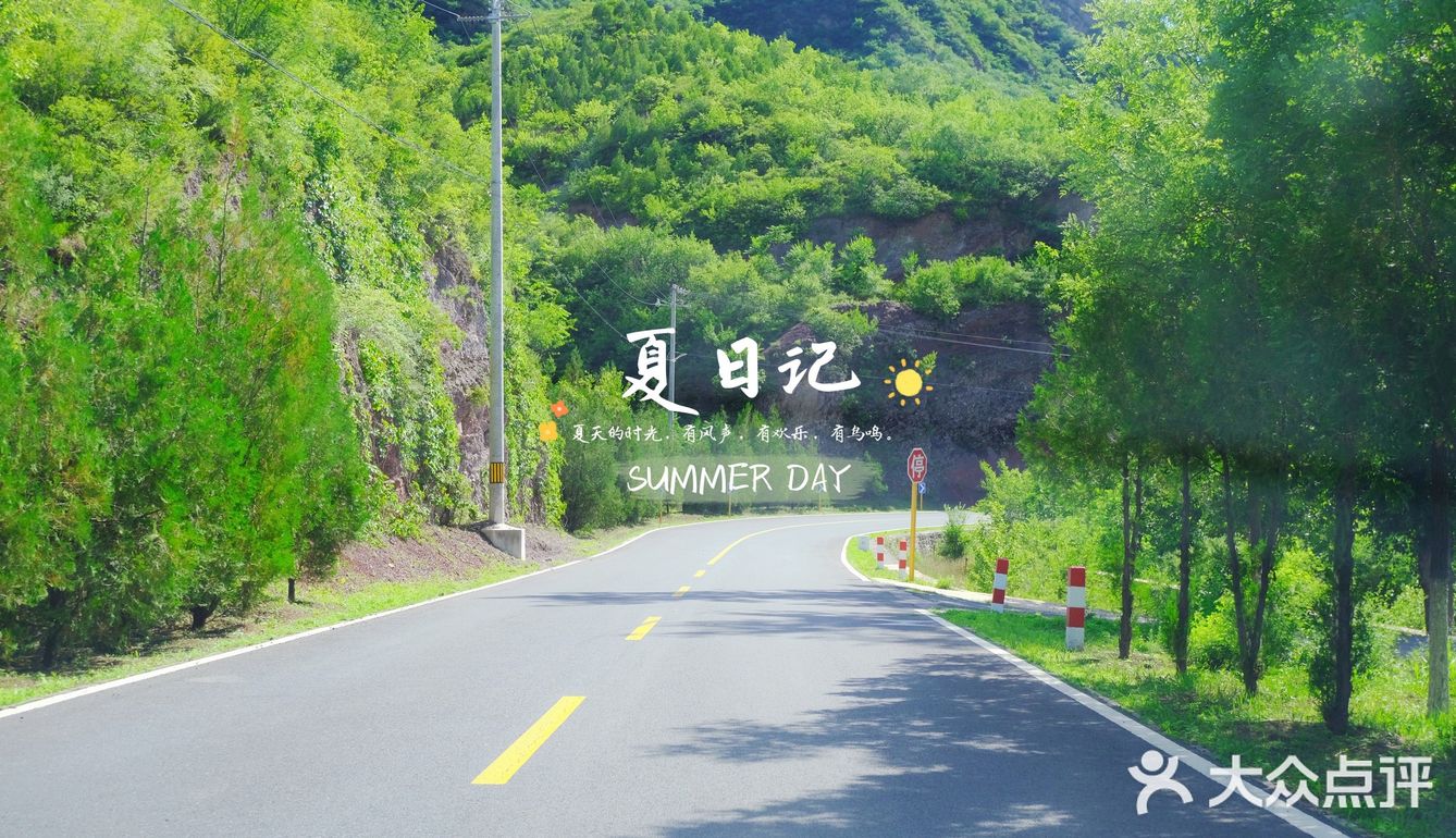 🍃夏日记🍃你爱上温热的空气了吗❓