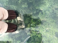-亚龙湾热带天堂森林公园