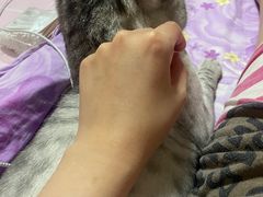 -沈阳铁西万象汇
