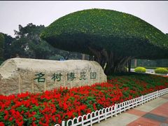 -南宁南湖公园