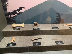 -河姆渡遗址博物馆