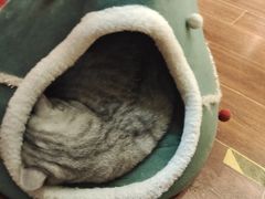 -H立方实景剧情密室(天河旗舰店)