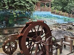 -广州白江湖森林公园