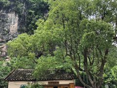 -村上春树