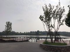 -东郊湿地公园