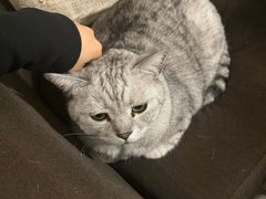 -隅cafe(傅厚岗店)