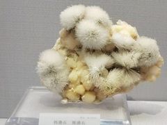 -湖南省地质博物馆