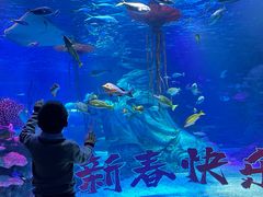 -沈阳海洋探索中心