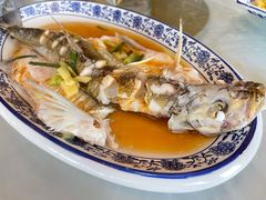 清蒸白水鱼-洞天食府(北大街店)