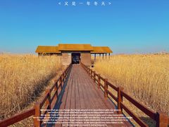 -宁波杭州湾国家湿地公园