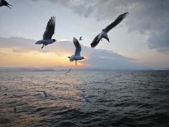 -大理洱海