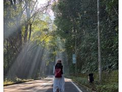 -孔雀湖生态旅游区