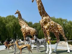 -北京野生动物园