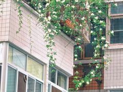 -四川大学(望江校区)