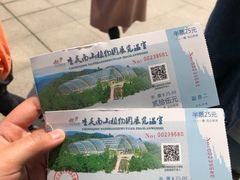 -南山植物园